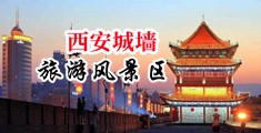 中国老骚女网中国陕西-西安城墙旅游风景区